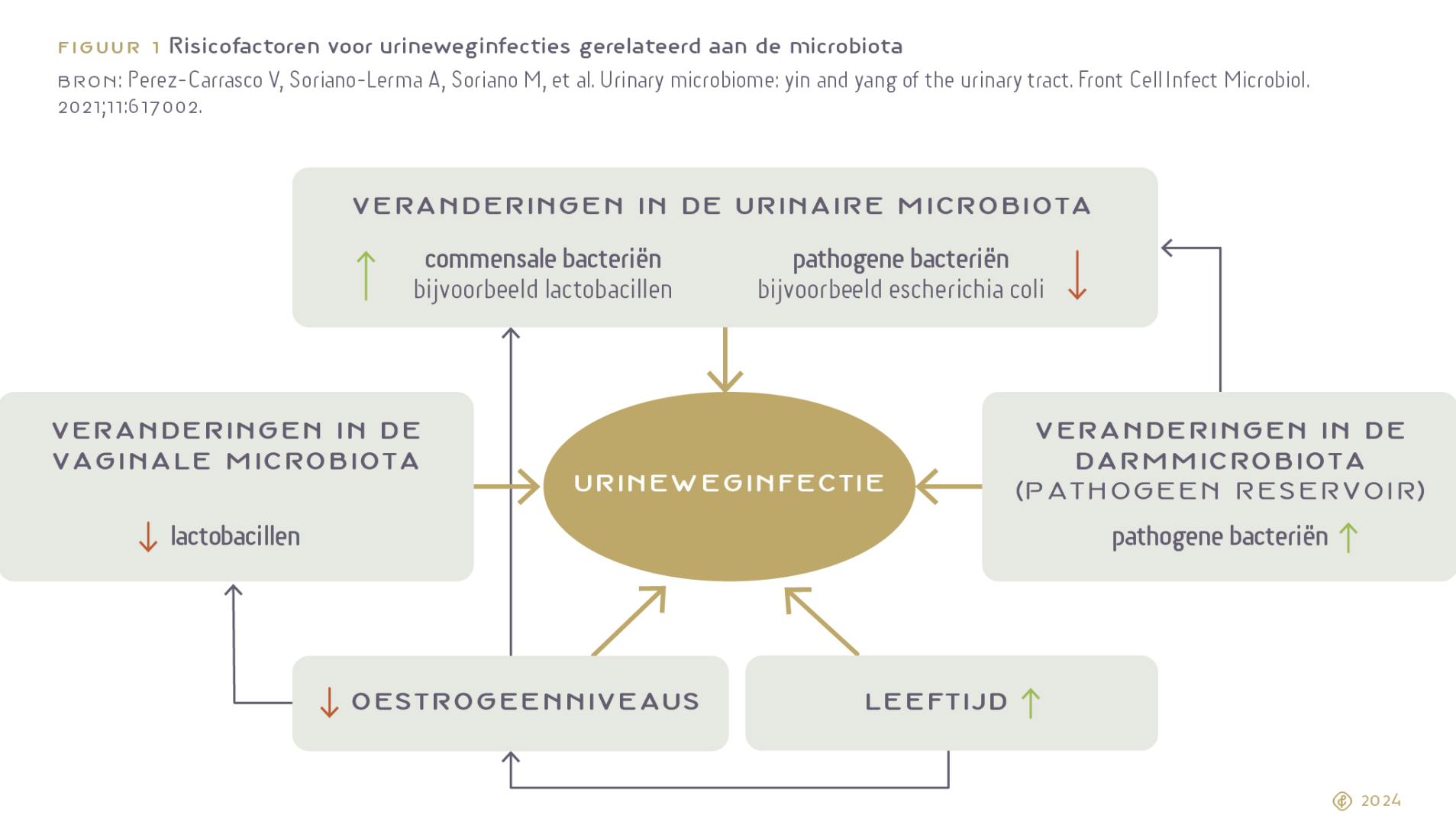 figuur 1 Risicofactoren voor urineweginfecties gerelateerd aan de microbiota