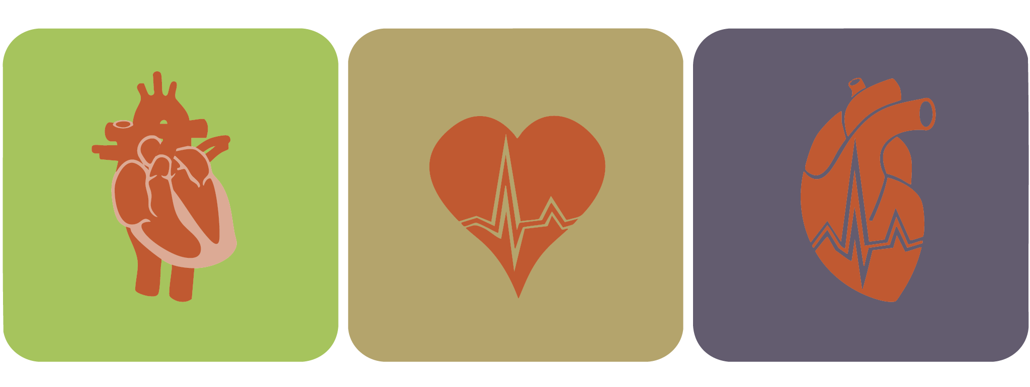 Essentiële rol van ubiquinol