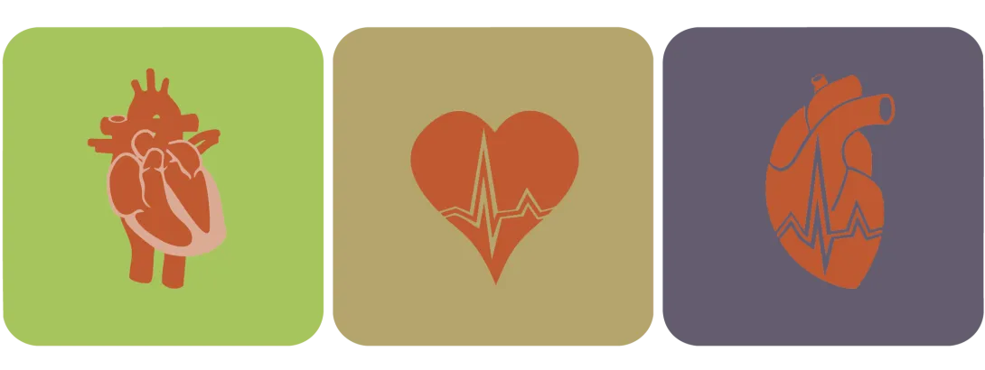 Essentiële rol van ubiquinol